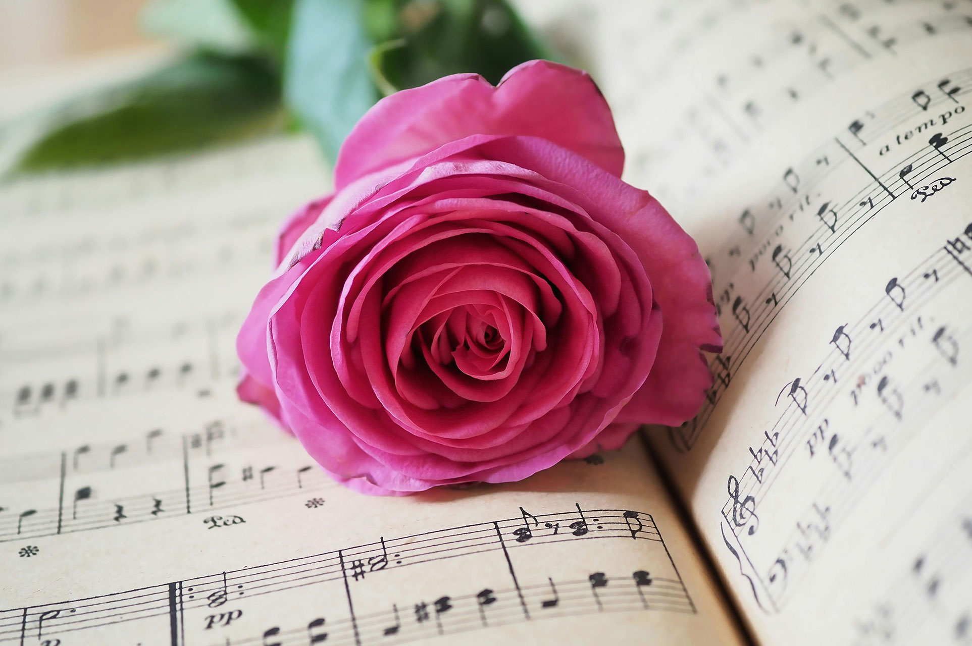 Funeral Music Ashington